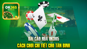 Bài Cào Rùa Ok365 – Hướng Dẫn Cách Chơi Chi Tiết Cho Tân Binh